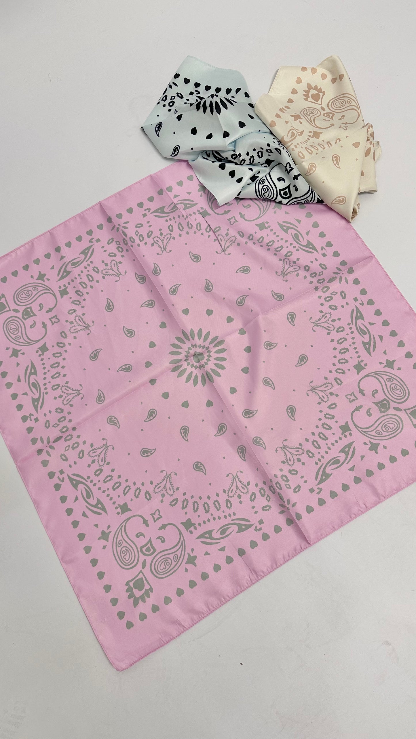 Tuch PaisleyRL