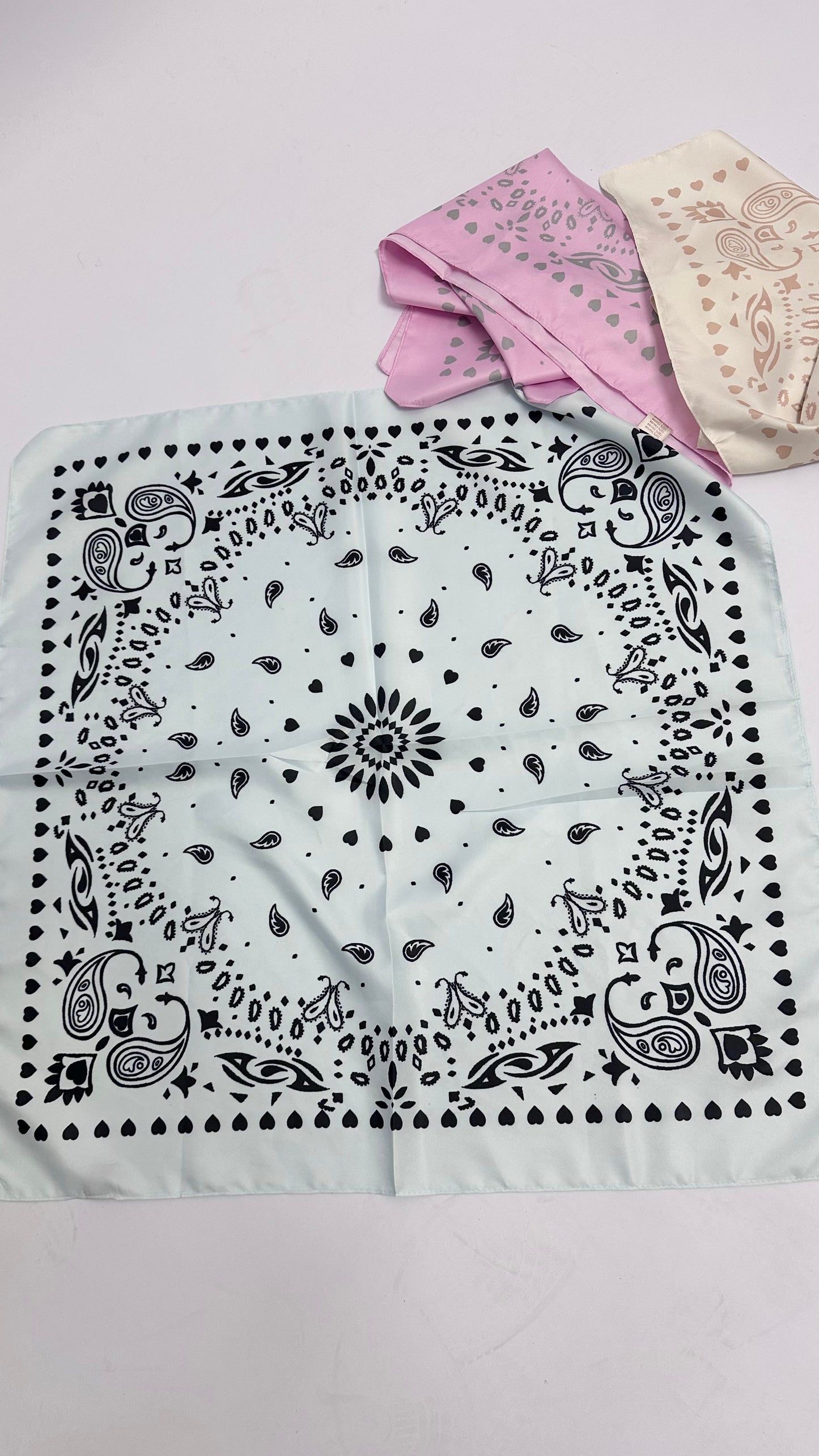Tuch PaisleyRL
