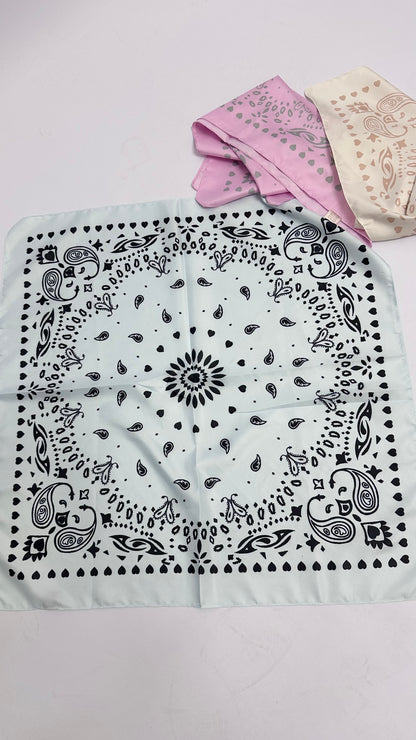 Tuch PaisleyRL