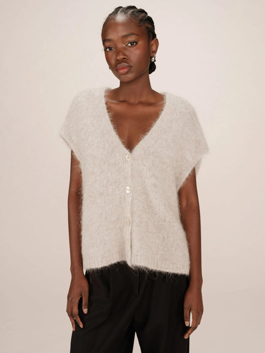 Cardigan Savant